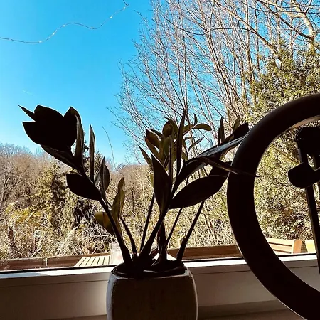 Ruhiges Haeuschen Am Wald Mit Kamin, Terrasse Hébergement de vacances Bucha (Burgenlandkreis)