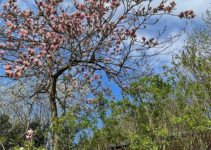 Дом отдыха Ruhiges Haeuschen Am Wald Mit Kamin, Terrasse *